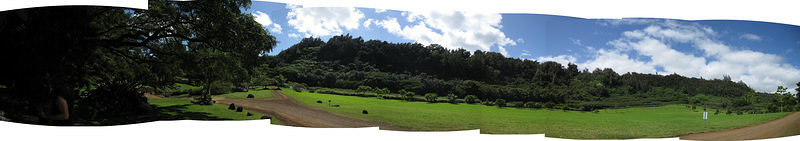 Botanical Gardens Panoramic