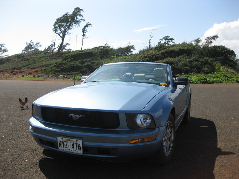 That's right, my rental was a mustang