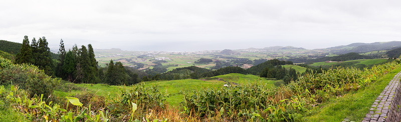 IMG 4116-Pano