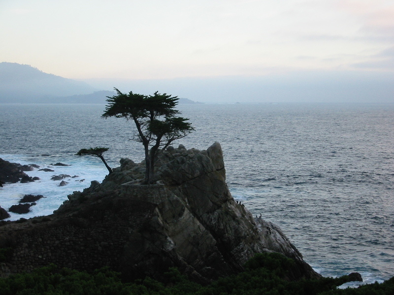 Lone Cypress Point - 2