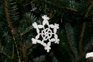 Ahma's Snowflake 5