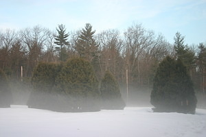 2008-01-08 - Winter Haze