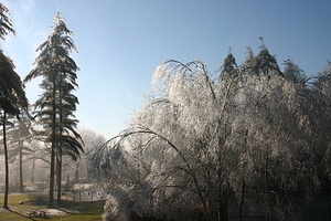 Ice Storm 12/12/2008