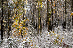 2020-10-30 - Early Snow and Fall Colors