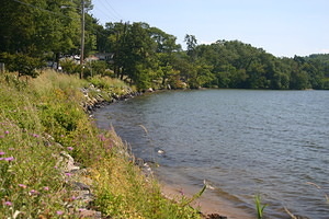 Lake Mascuppic