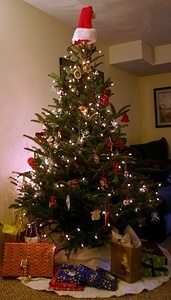2008 Christmas Decorating