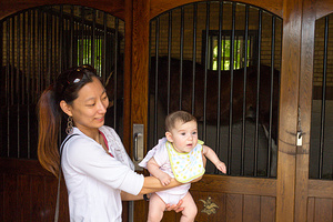 2015-06-20 - Visiting the Budweiser Clydesdales at Ribfest