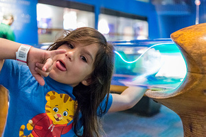 2019-09-29 - Museum of Science