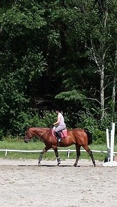 Kari Riding