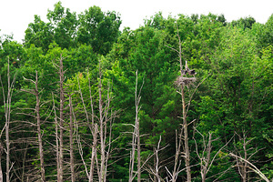 2020-08-02 - Horse Hill Nature Preserve