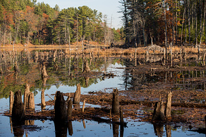 2020-11-08 - Full-Family Wasserman Park Hike