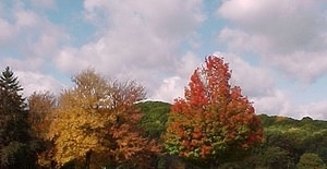 FallViewFromQuad3