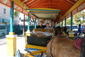 Neil and Jen in Horse Carriage