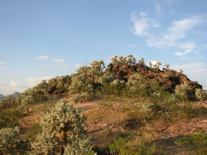 Phoenix View 2