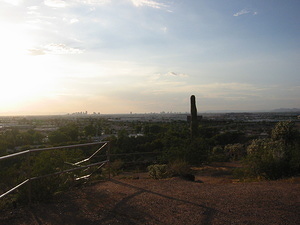 Phoenix View 5