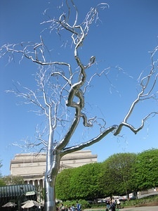 Sculpture Garden (April 9, 2010)