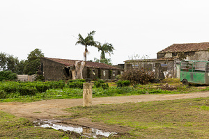 2015-10-20 - Cha Gorreana Tea Plantation