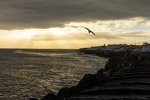 2015-10-21 - Around Ponta Delgada