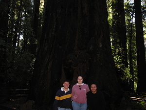 Redwood & Jen, Jimmy and John
