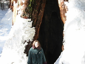 Jen with a Cool Giant Sequoia