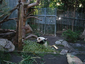 San Diego Zoo (January 17, 2009)